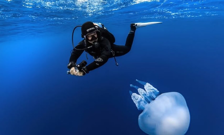 Scuba Alegre donde el buceo se vive