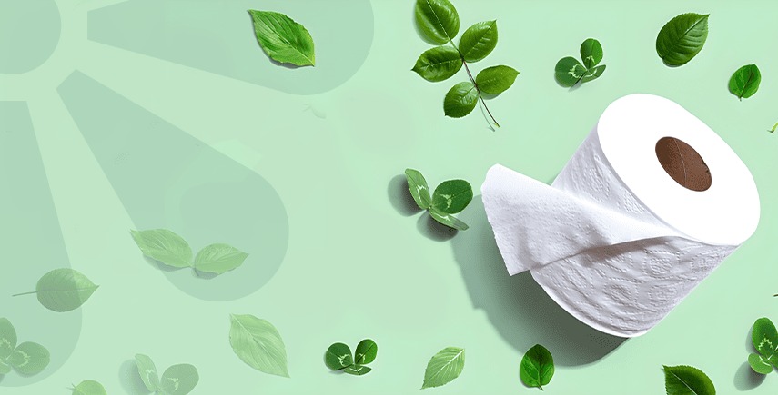 Sustainability in Sanitation