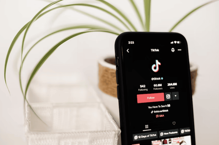 TikTok Influencer Marketplace