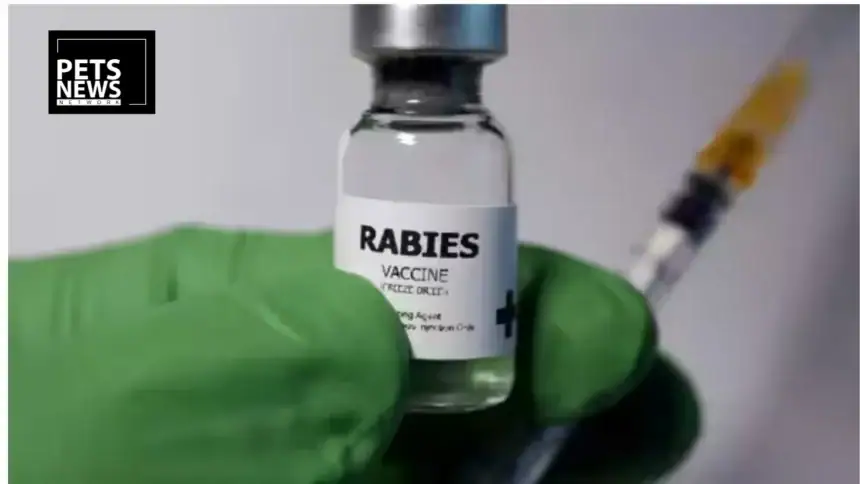 How Chicken Heads Dropped From Helicopters Defeated Rabies in Europe