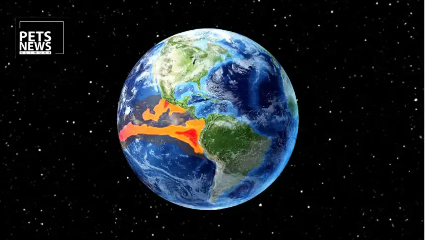 Climate Shift Alert: How El Niño Could Impact the Price of Your Dog and Cat Food