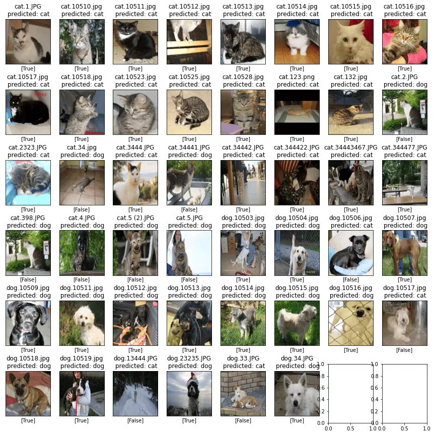 image classification - the image shows several dogs and cats