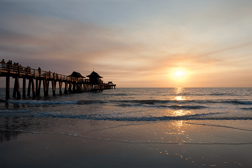 Flock to Florida this winter