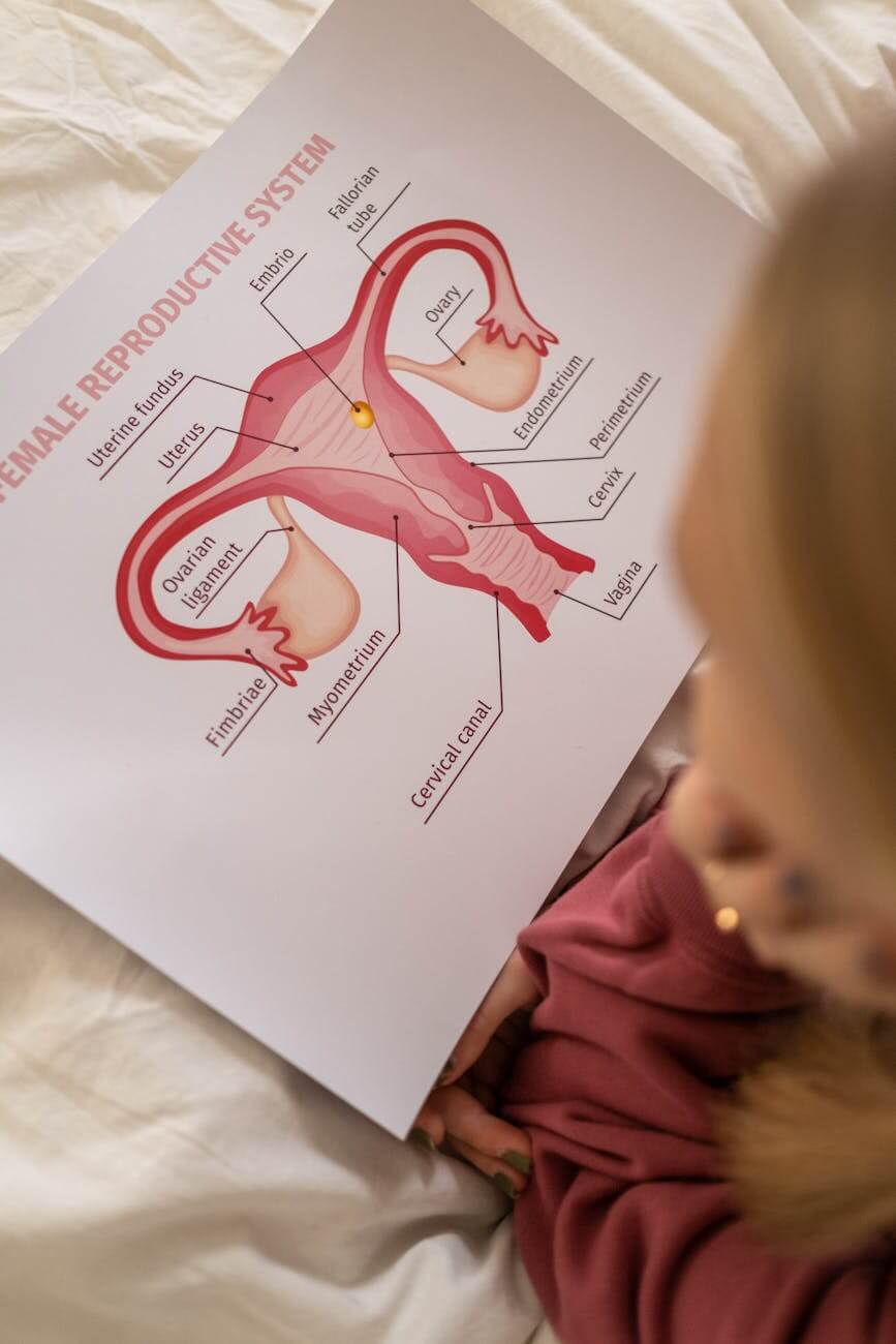 looking at the ovaries to see types of pcos