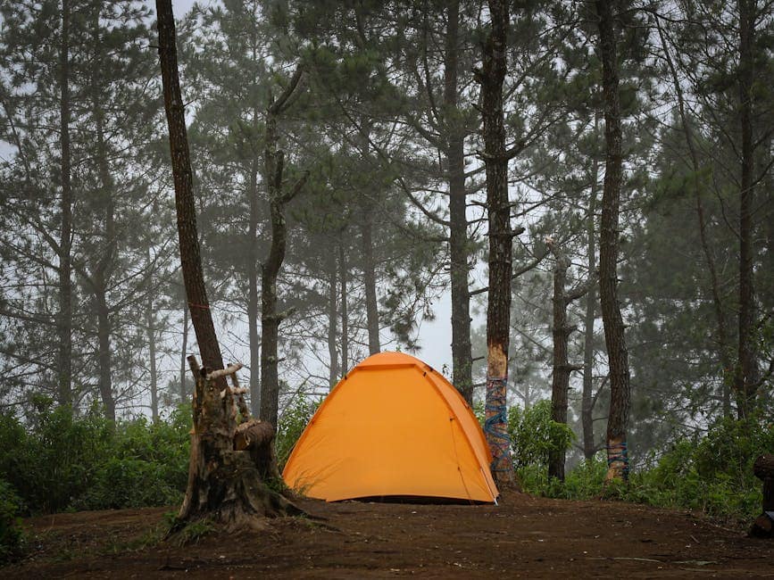 A vibrant orange tent set amidst tall trees in a m