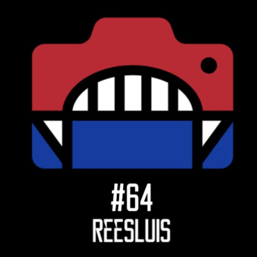 De Reesluis – Bridge 64 | Information and history