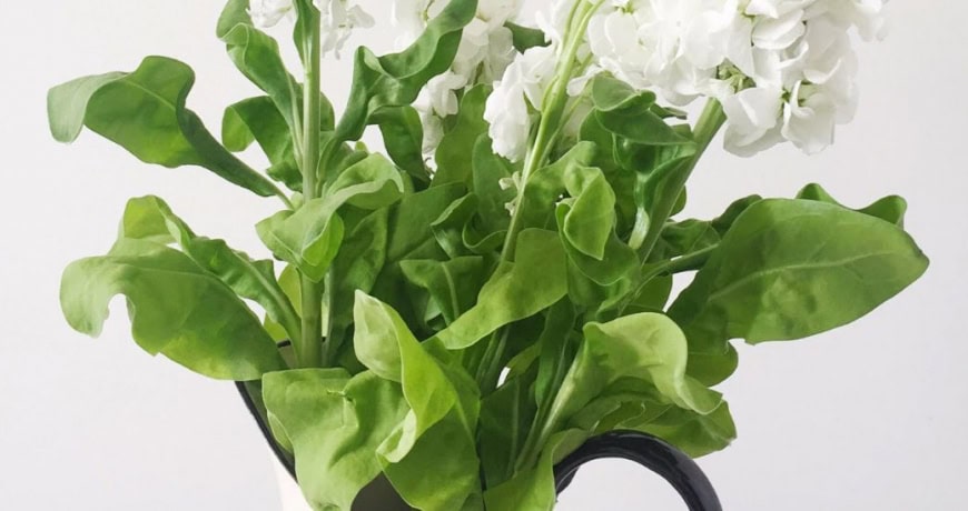 Łazienkowa rewolucja