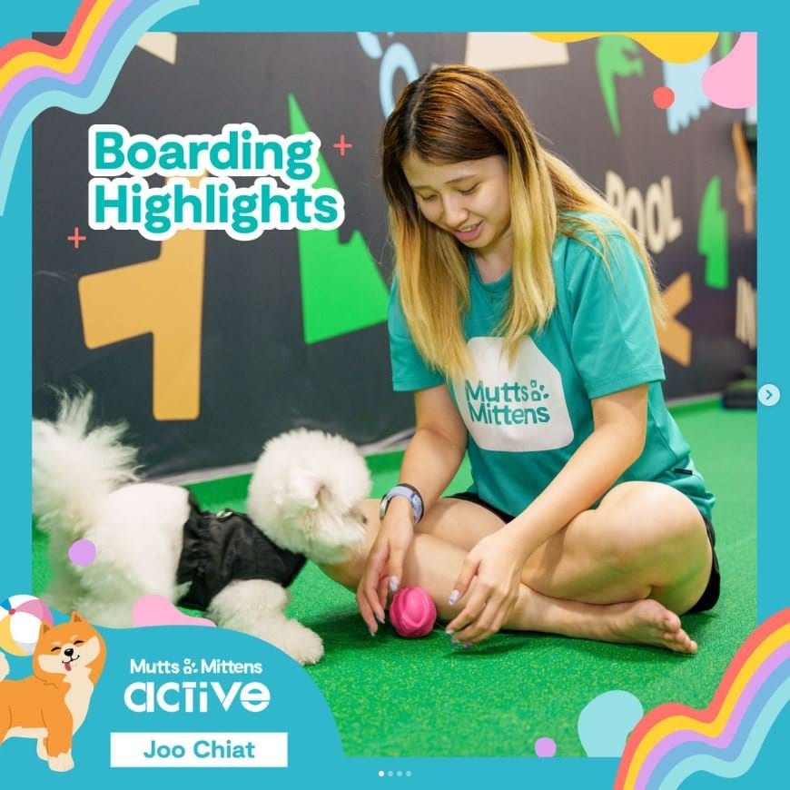 Mutts & Mittens Active Joo Chiat (Dogs)