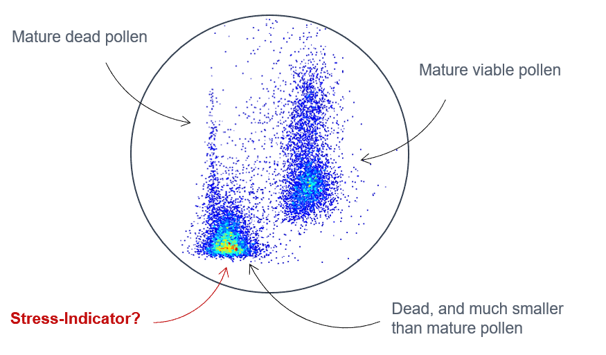 Scatterplot showing mature viable, mature dead and aberrant tomato cells