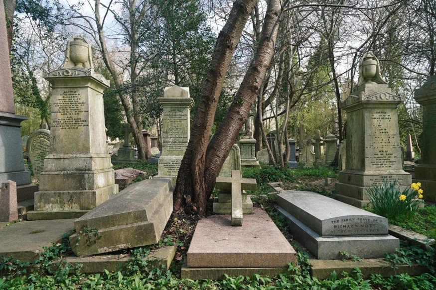 Highgate cemetary in London