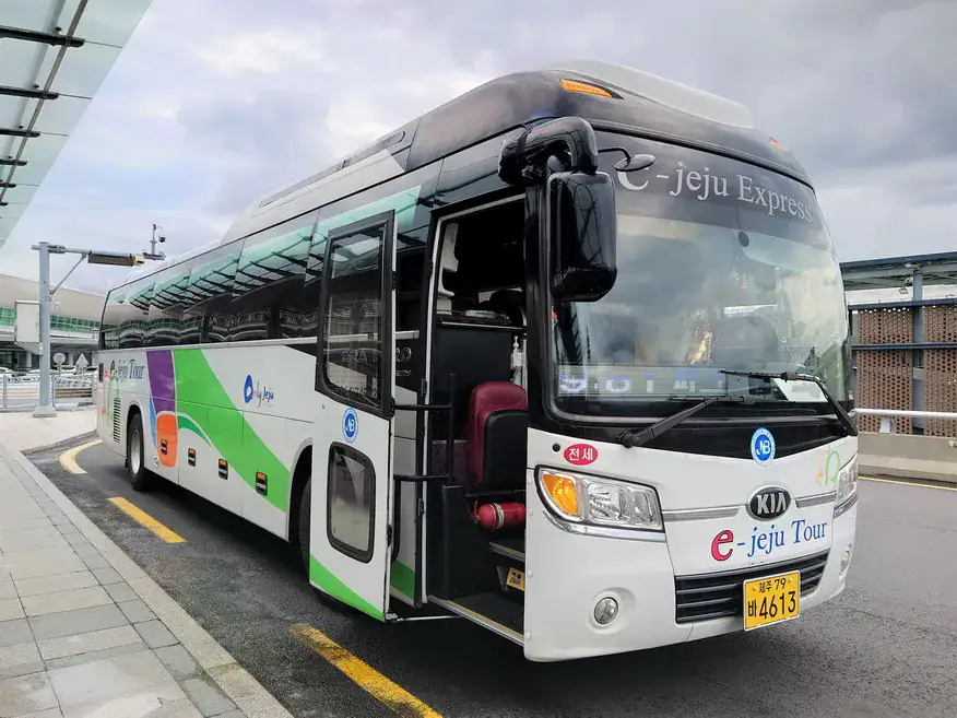 jeju 9.81