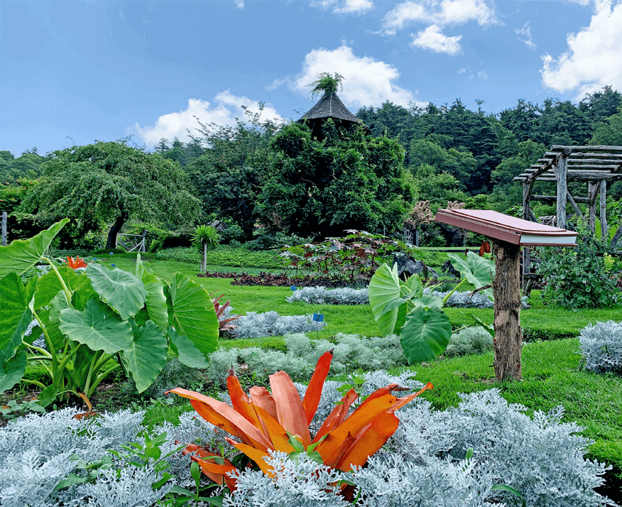Lush Garden at Our Hudson Valley Resort