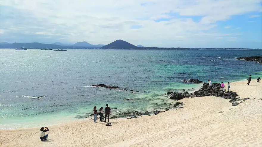 濟州牛島