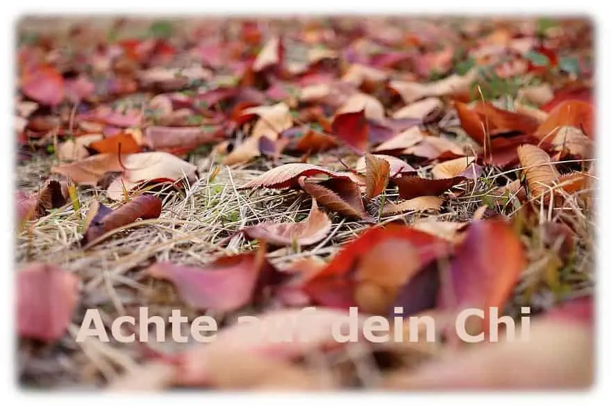 Jahreszeiten, die Übergangszeit ist da, achte auf dein Chi