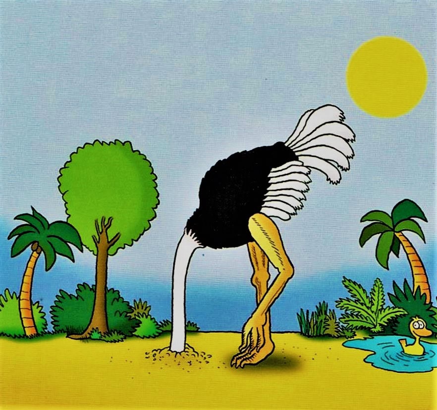 Pas d’autruches à Cannes