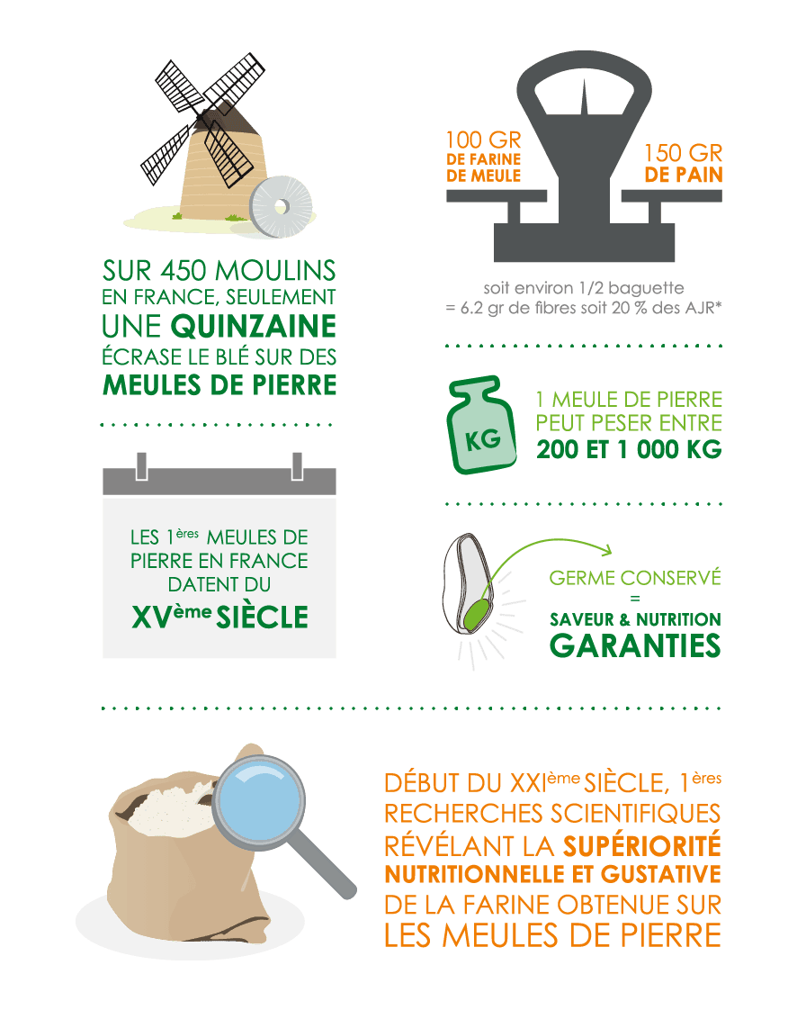 infographie