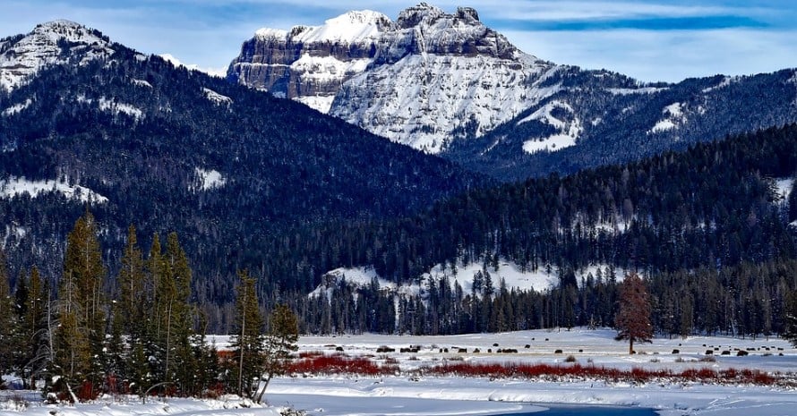 Yellowstone Park