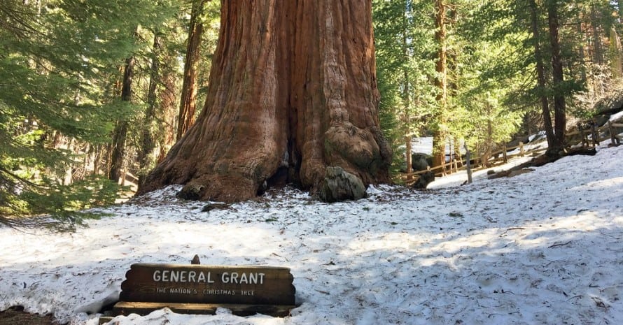 Redwood National Park