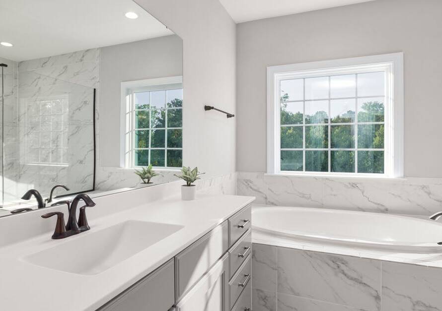 Dream Bathroom