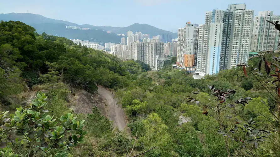 蝌蚪坪、貓仔山