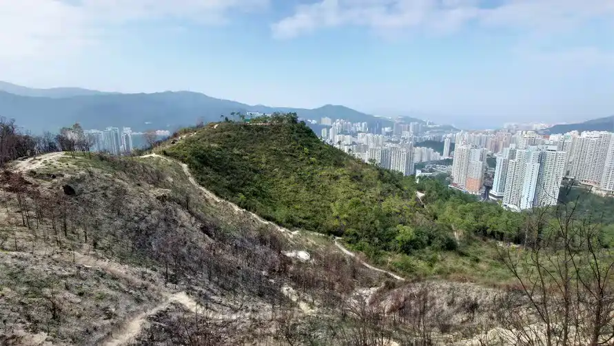 蝌蚪坪