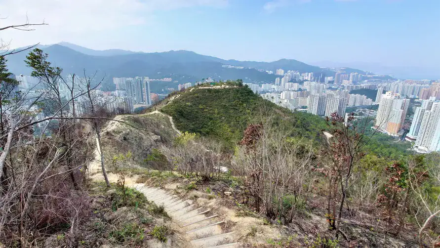 蝌蚪坪