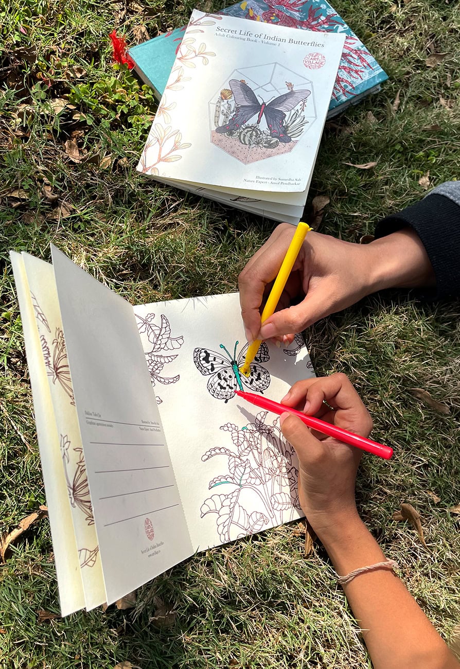 COLLAB_BUTTERFLY BOOK