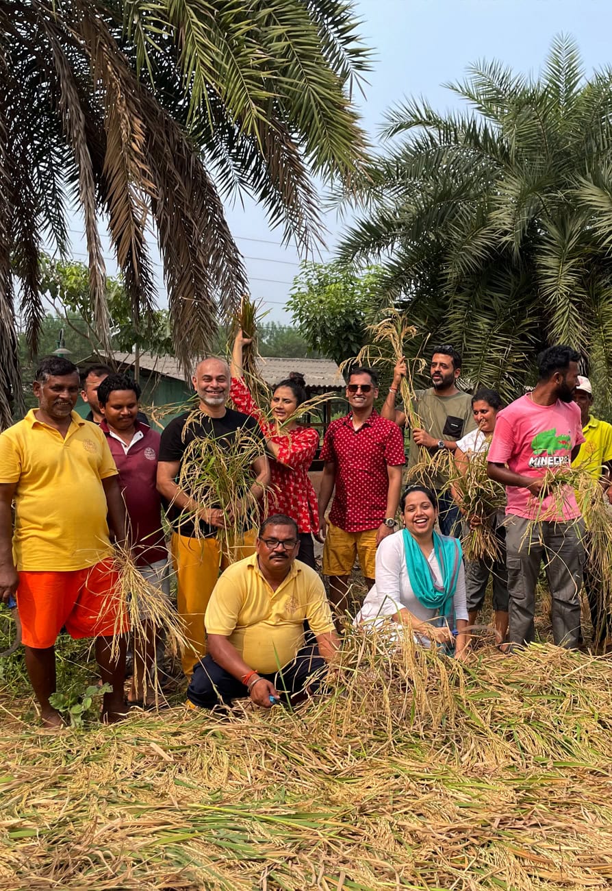COMMUNITY_FARMING