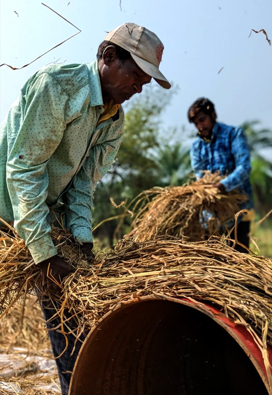 Farmer1_894X1300