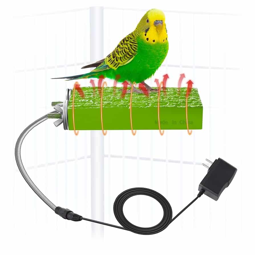 Safe Temperature for Pet Birds
