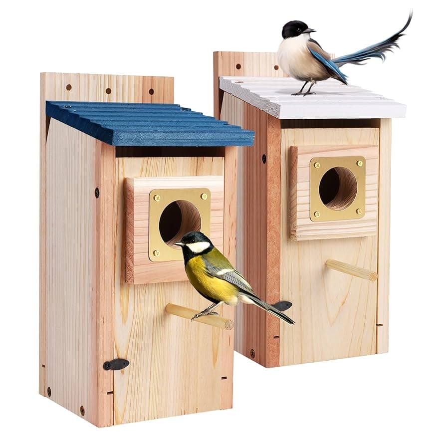 Where to Buy Bird Houses
