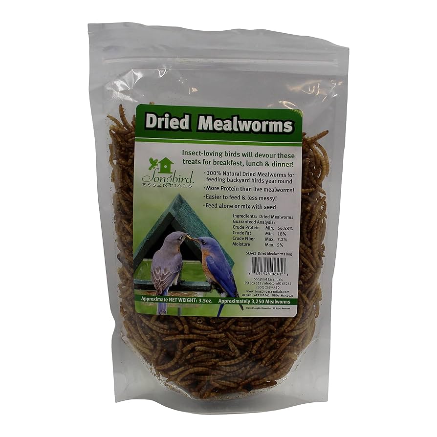 Which Worm to Feed Wild Birds