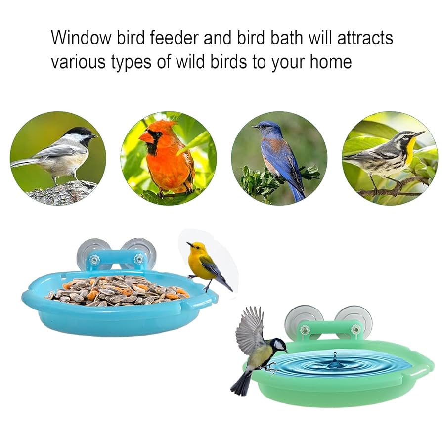 Window Bird Bath