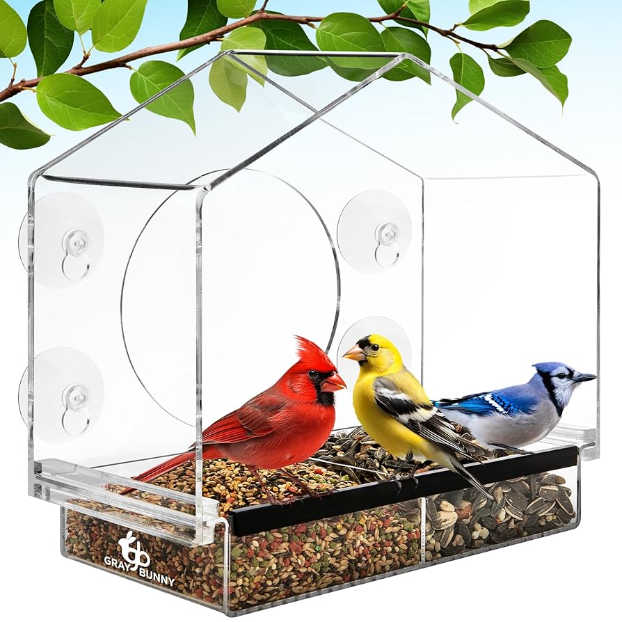 Window Oriole Feeder