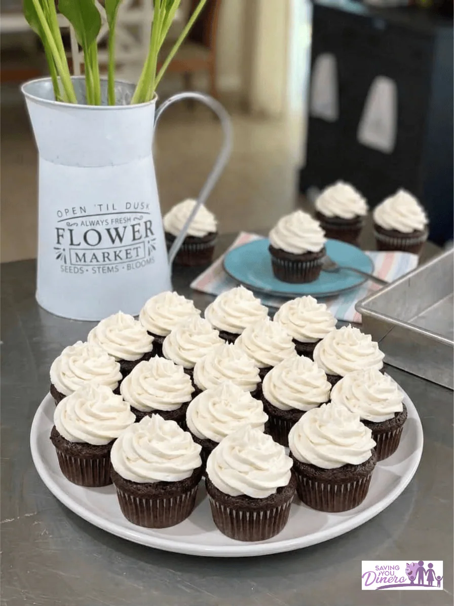 A large white platter filled with two dozen chocolate cupcakes topped with white vanilla frosting, demonstrating the batch size of the recipe.