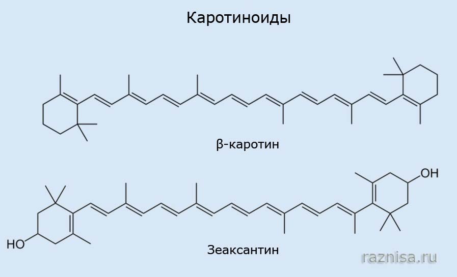 В чем разница между Каротином и Ксантофиллом 2 Примеры каротиноидов