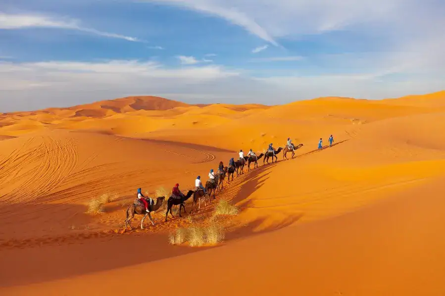 Marrakech Desert Tours The Definitive 2026 Guide to the sahara