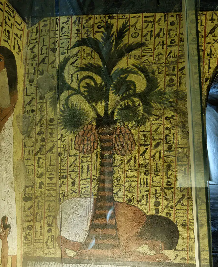 Pashedu drinking beneath a palm tree in tomb TT3