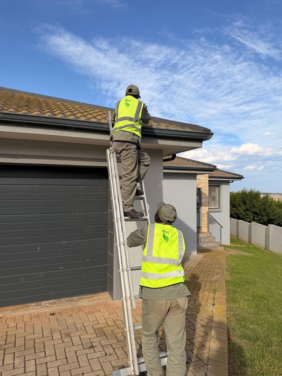 Two Exclusive Eco technicians in hi vis vests working from a ladder at the gutter of a Garden Route home.
