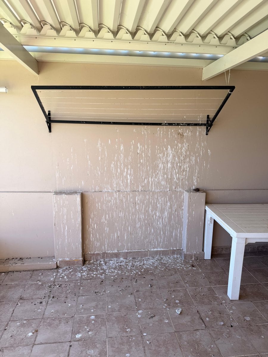 Guano streaked down the wall and covering the floor of a covered patio, the damage an untreated roost does to a living space.
