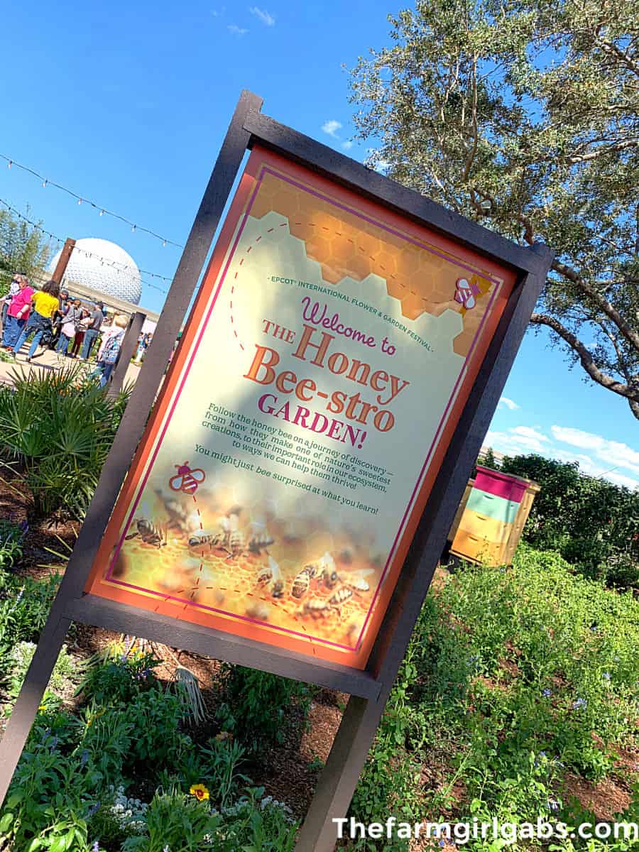 Spring is in the air at Walt Disney World. The Epcot Flower And Garden Festival is in full bloom. Check out this Ultimate Guide To Epcot Flower And Garden Festival before you go.