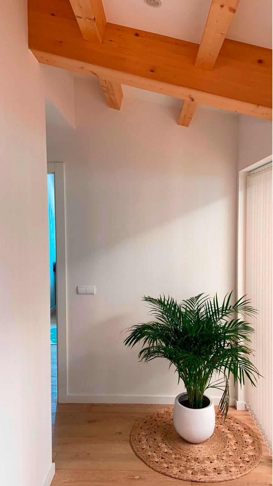 Pintura natural de silicat Keim Innotop en parets i sostres, Ecomatèries