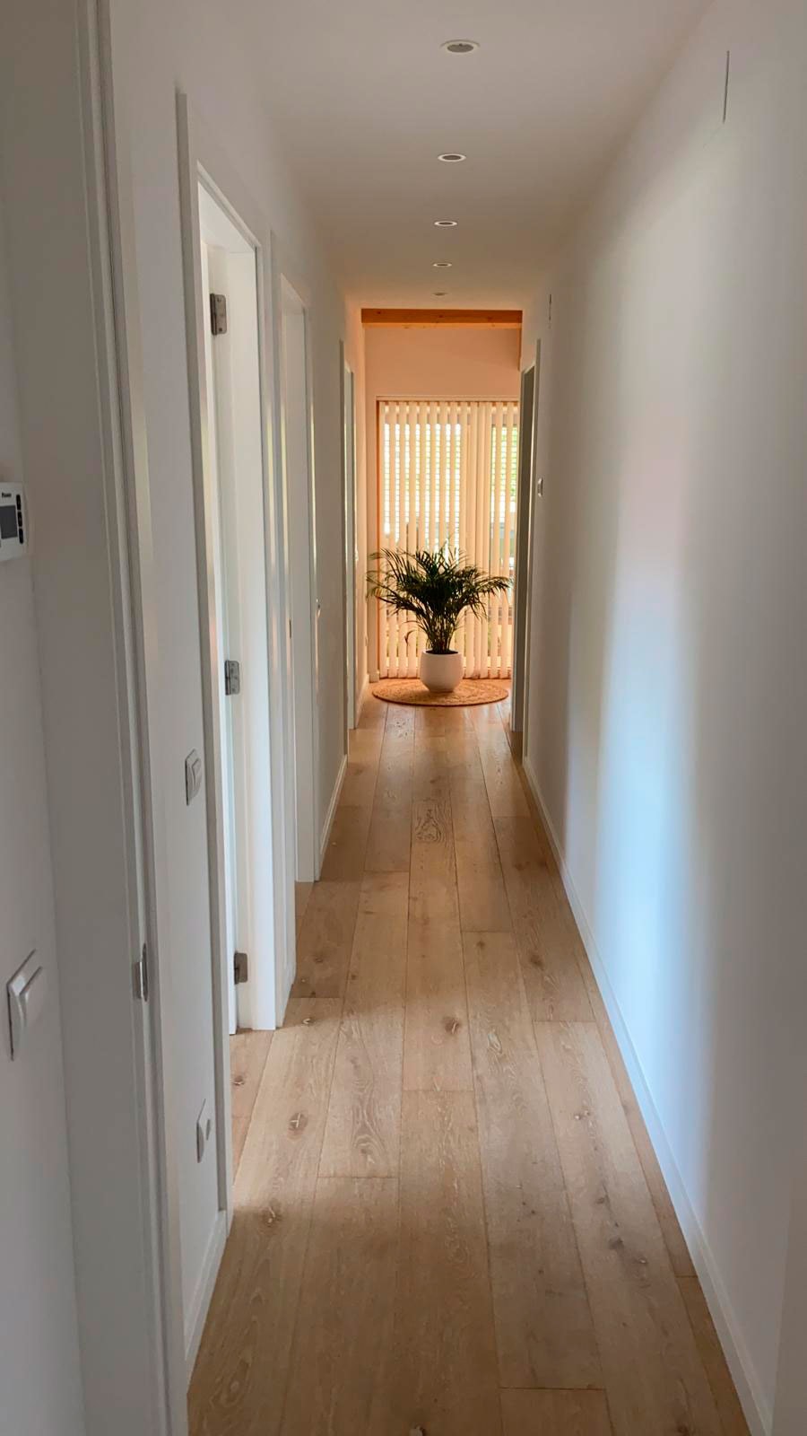 Pintura natural de silicat Keim Innotop en parets i sostres, Ecomatèries