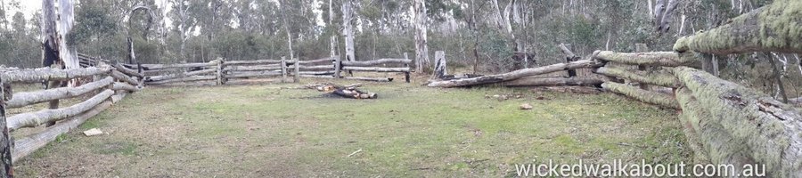 11 Tamboritha Horse Yards