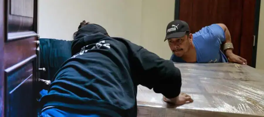 movers handling furniture
