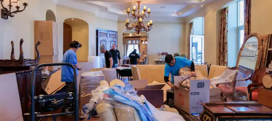 professional moving services