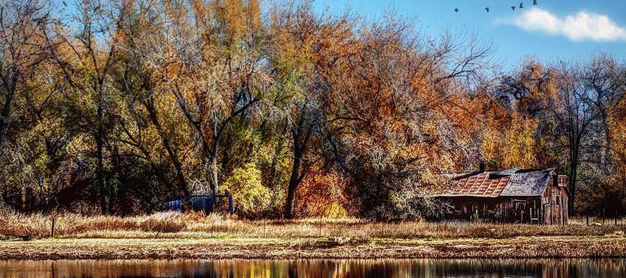 fort collins dover