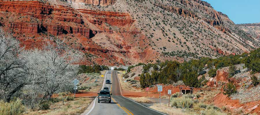 new mexico colorado