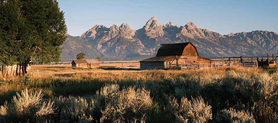 Jackson Hole WY