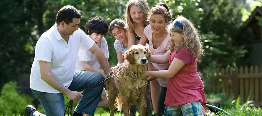 raising family